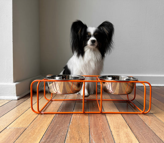Lunae Elevated Dog Feeder — heavy-weight stainless steel bowls