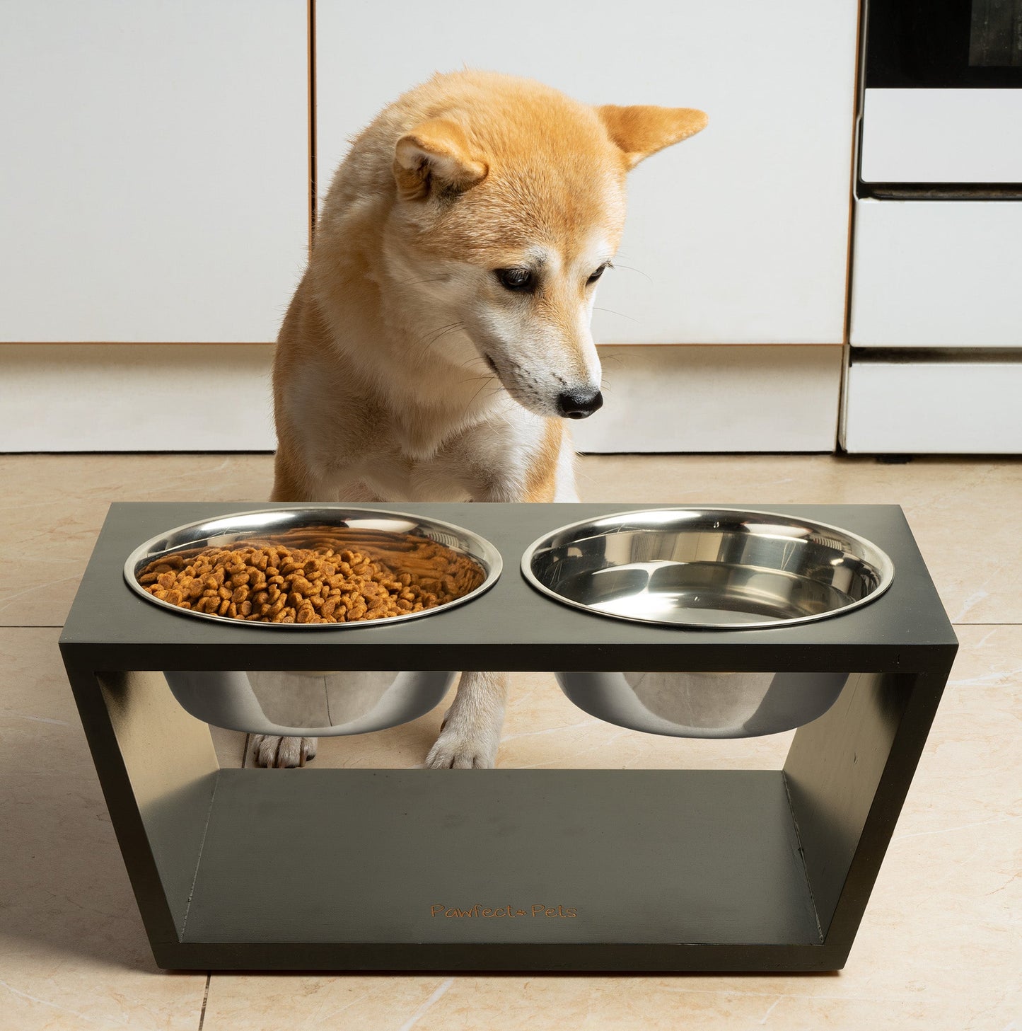 Mavo Dog Bowl Stand — dual bowl design