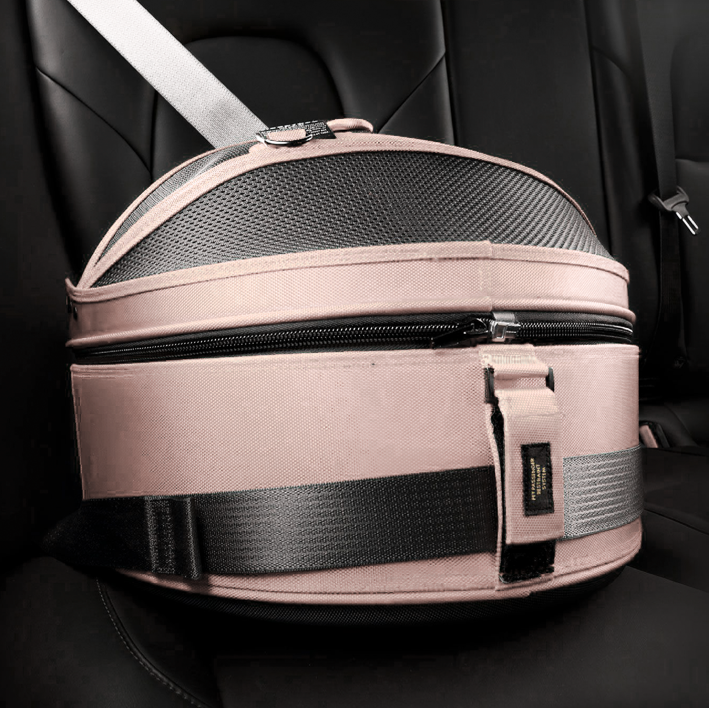 Mira 3-in-1 Cat & Dog Travel Bed — structured travel design