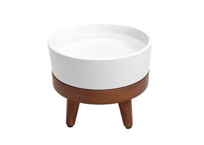 Nira Elevated Dog Water Bowl — mid-century modern design