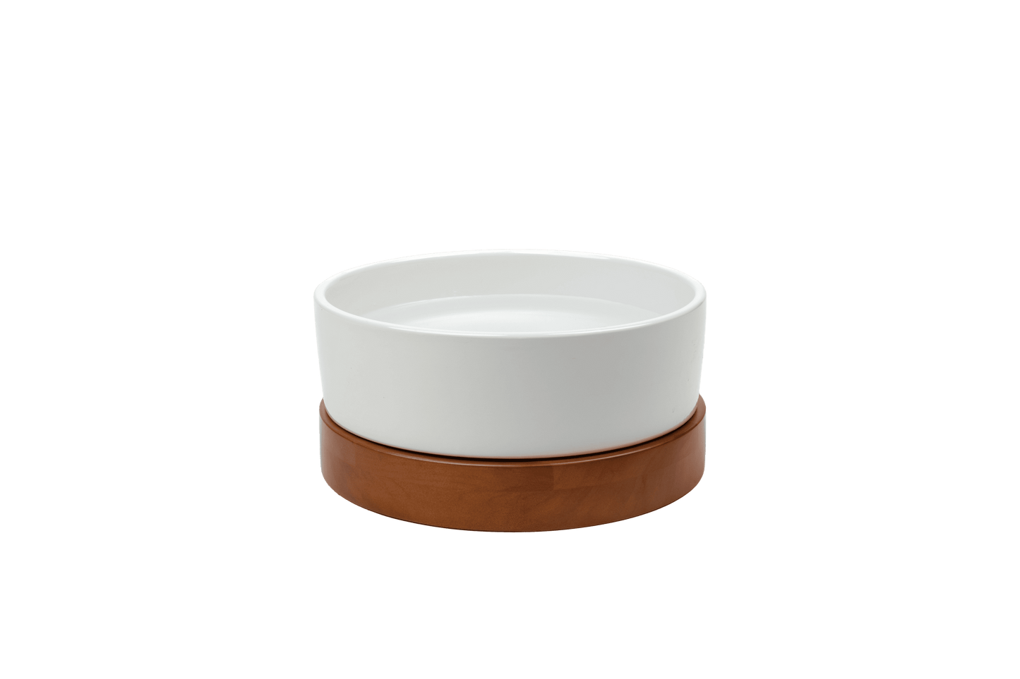 Nira Elevated Dog Water Bowl — generous 10-inch diameter holds up to 100 ounces of water