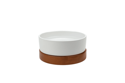 Nira Elevated Dog Water Bowl — generous 10-inch diameter holds up to 100 ounces of water