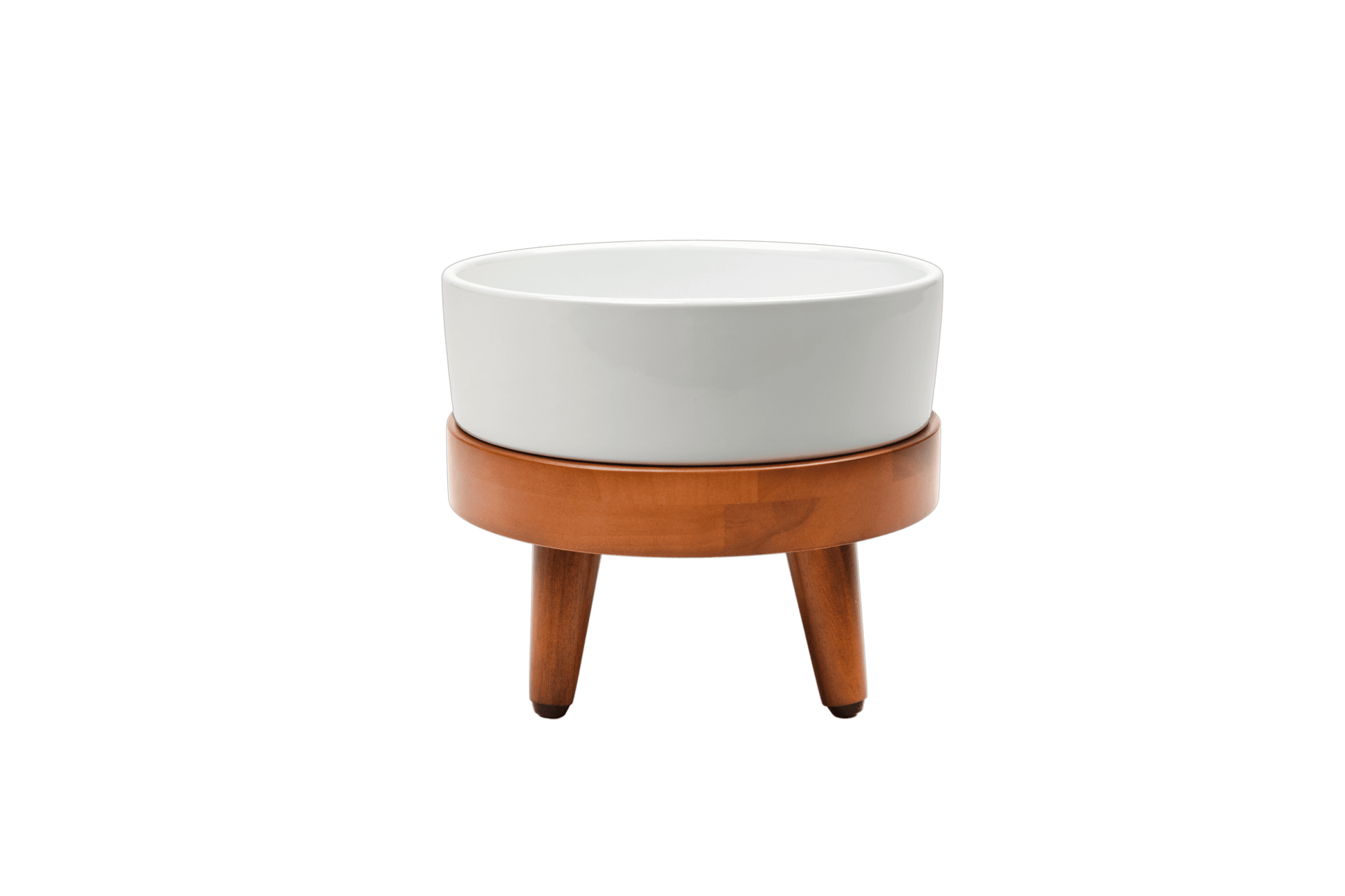 Nira Elevated Dog Water Bowl — two height options at 4.75 and 8.25 inches