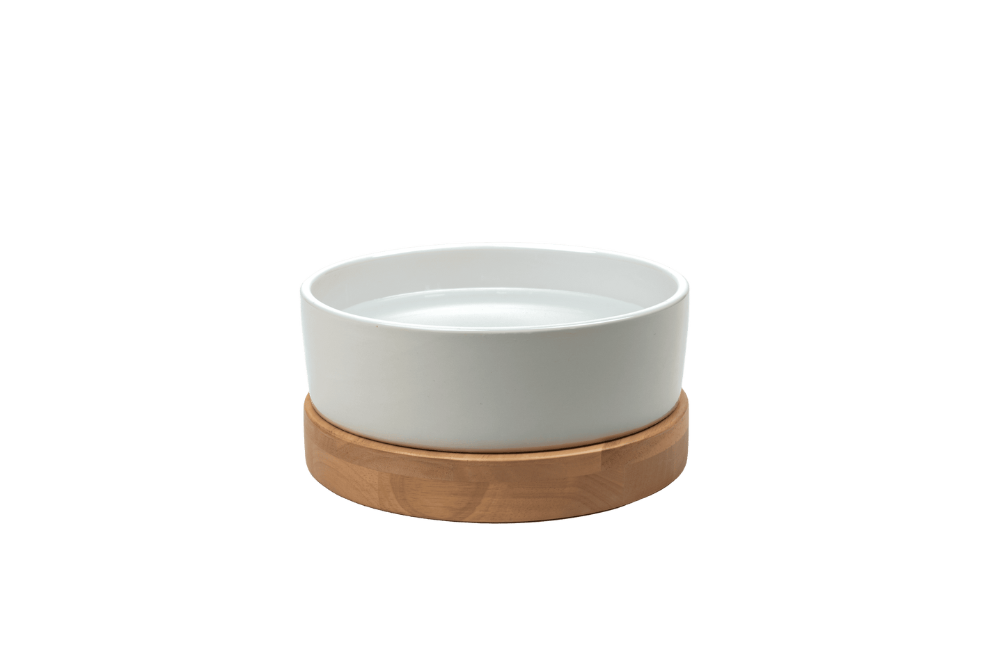 Nira Elevated Dog Water Bowl — mid-century modern design