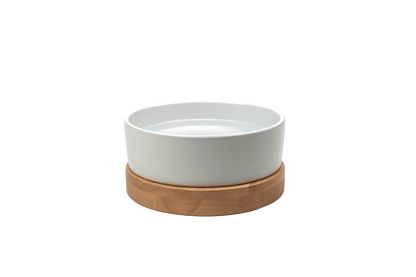 Nira Elevated Dog Water Bowl — mid-century modern design