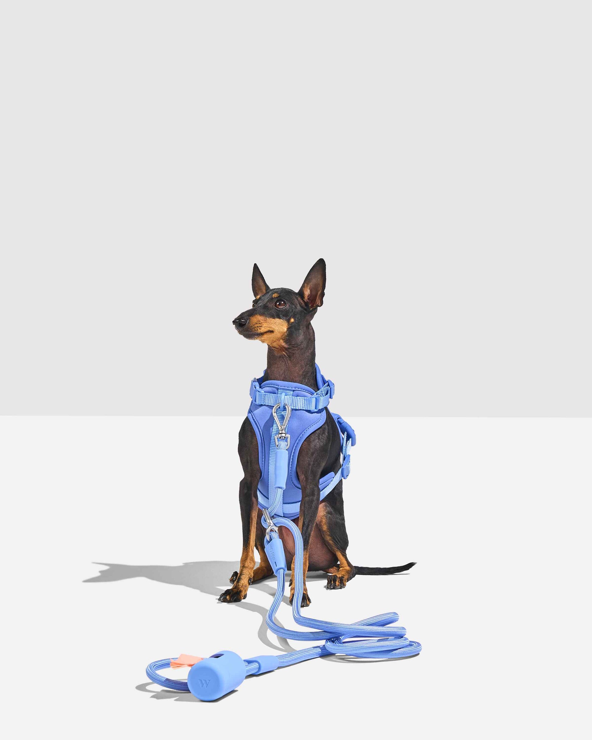 Orin Hands-Free Dog Leash — lightweight rope construction