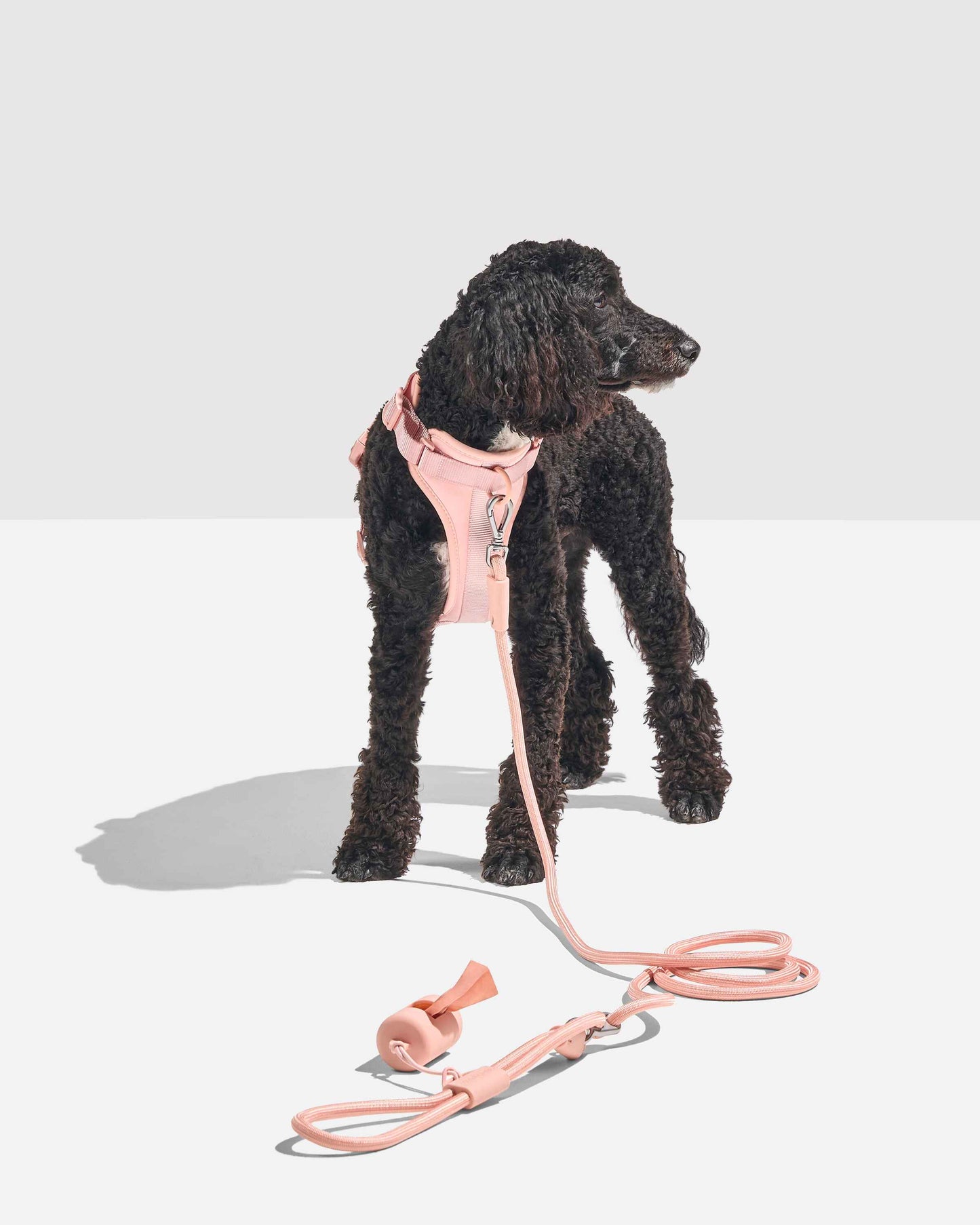 Orin Hands-Free Dog Leash — secure metal clasp