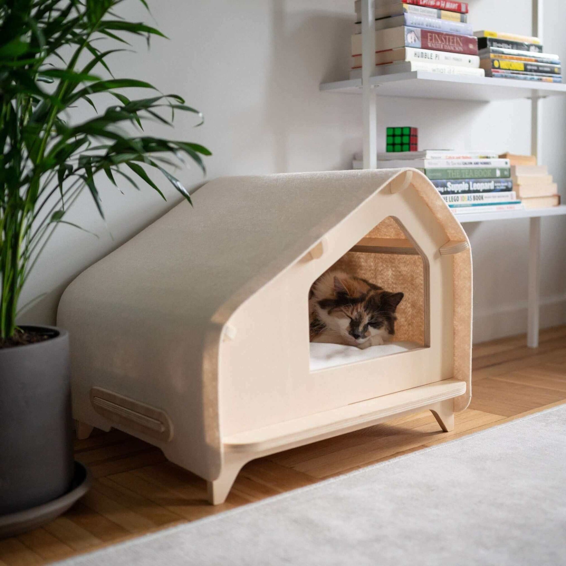 Pet Cabin — modern minimalist design