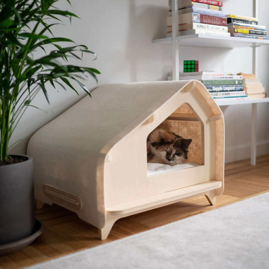 Pet Cabin — modern minimalist design