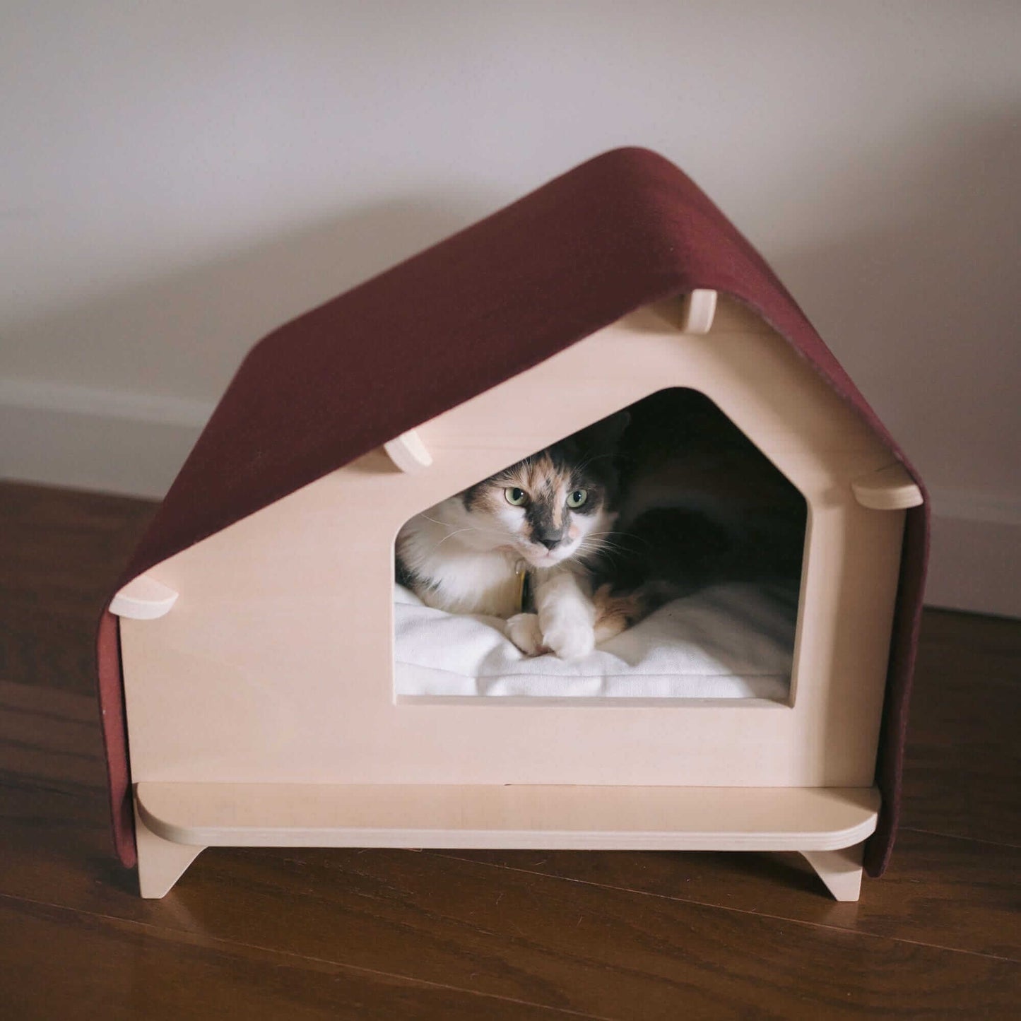 Pet Cabin — modern minimalist design