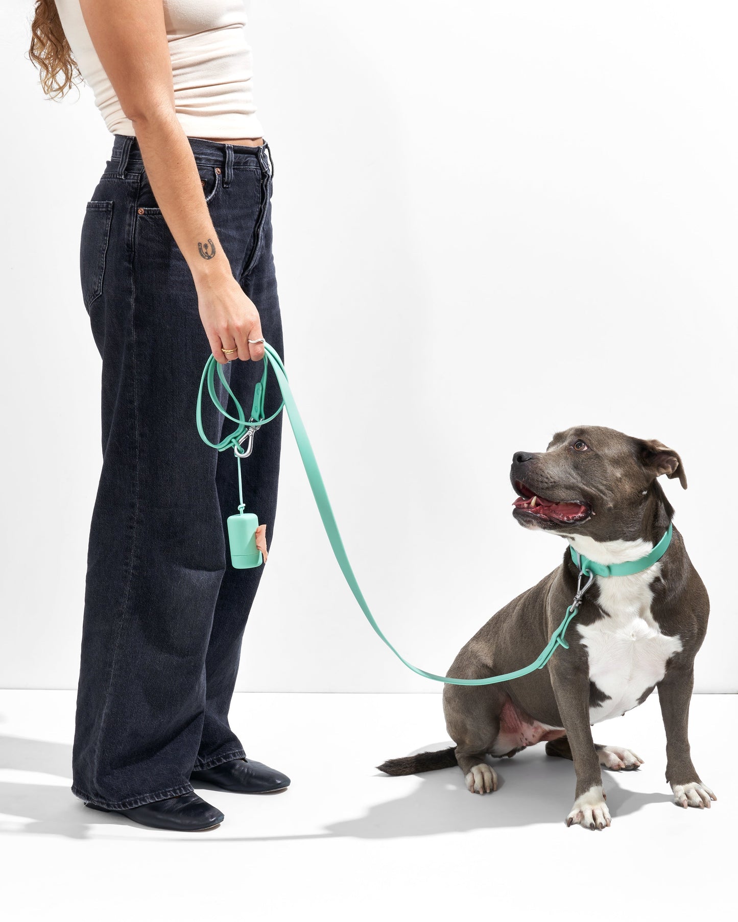 Sano Durable Dog Collar — dirt and odour-resistant materials