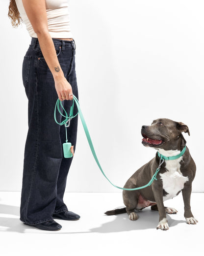 Sano Durable Dog Collar — dirt and odour-resistant materials