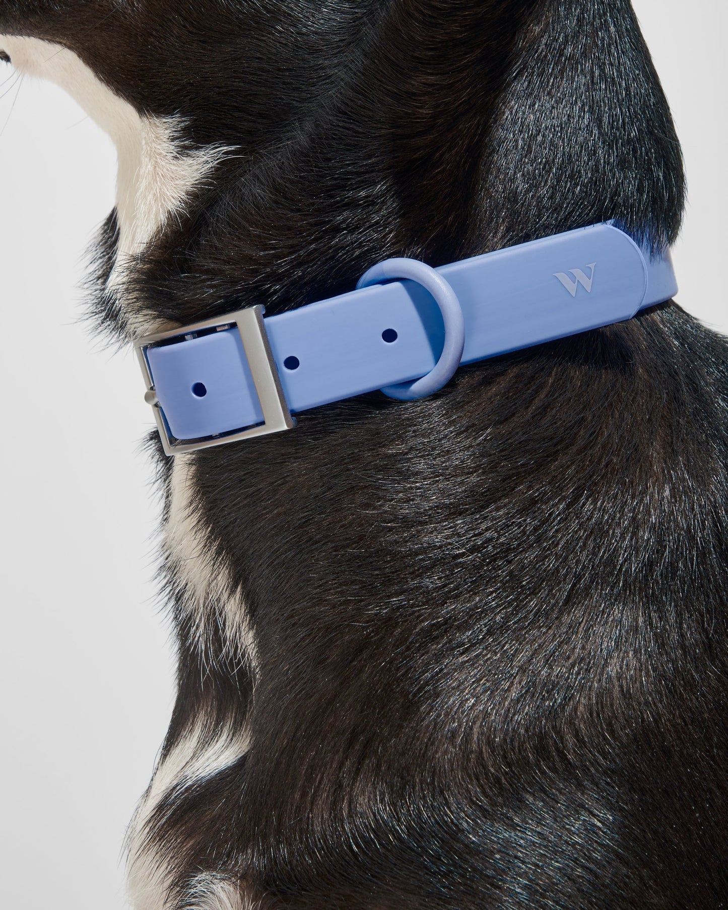 Sano Durable Dog Collar — super strong build