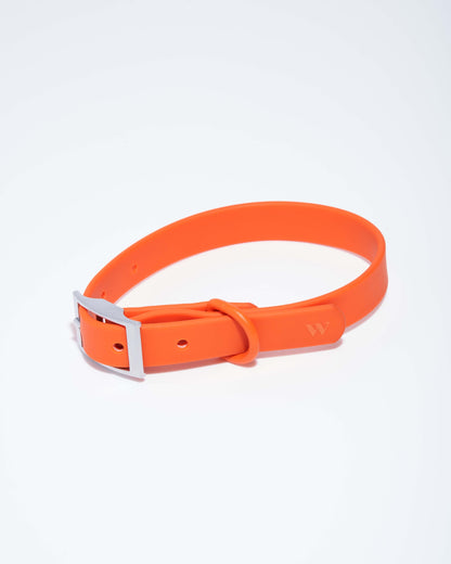 Sano Durable Dog Collar — all-weather waterproof construction