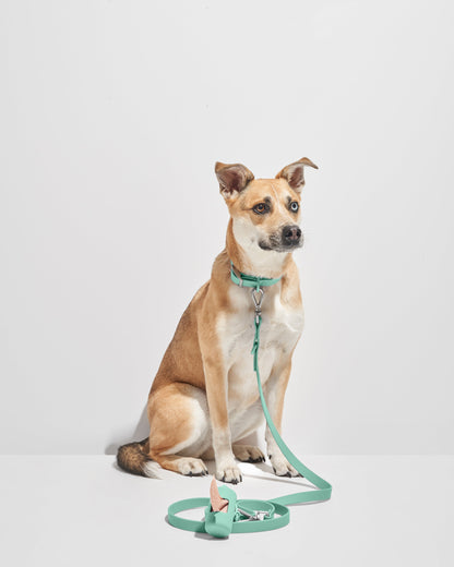 Sano Durable Dog Collar - All-Weather & Odor-Resistant Collar