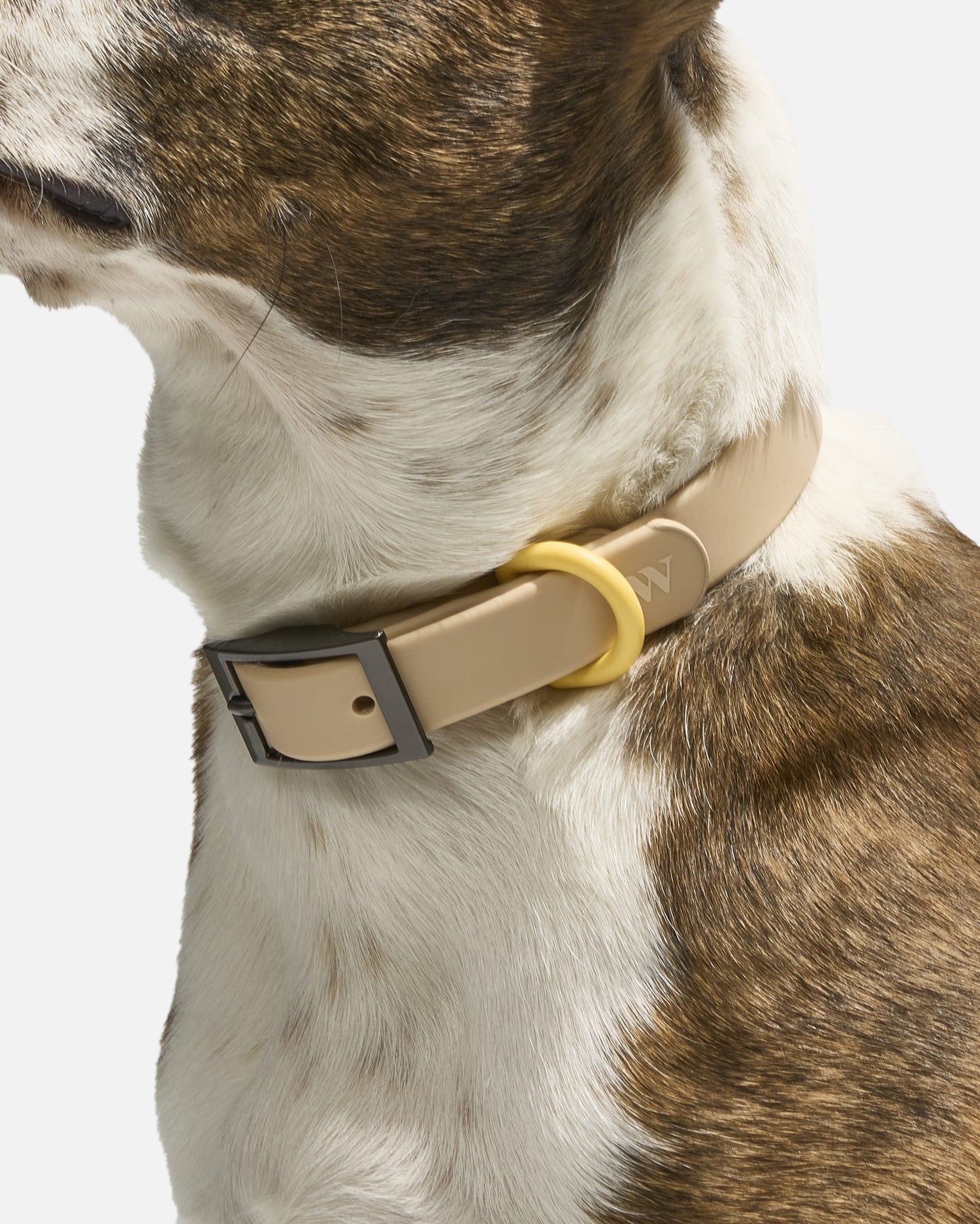 Sano Durable Dog Collar - All-Weather & Odor-Resistant Collar