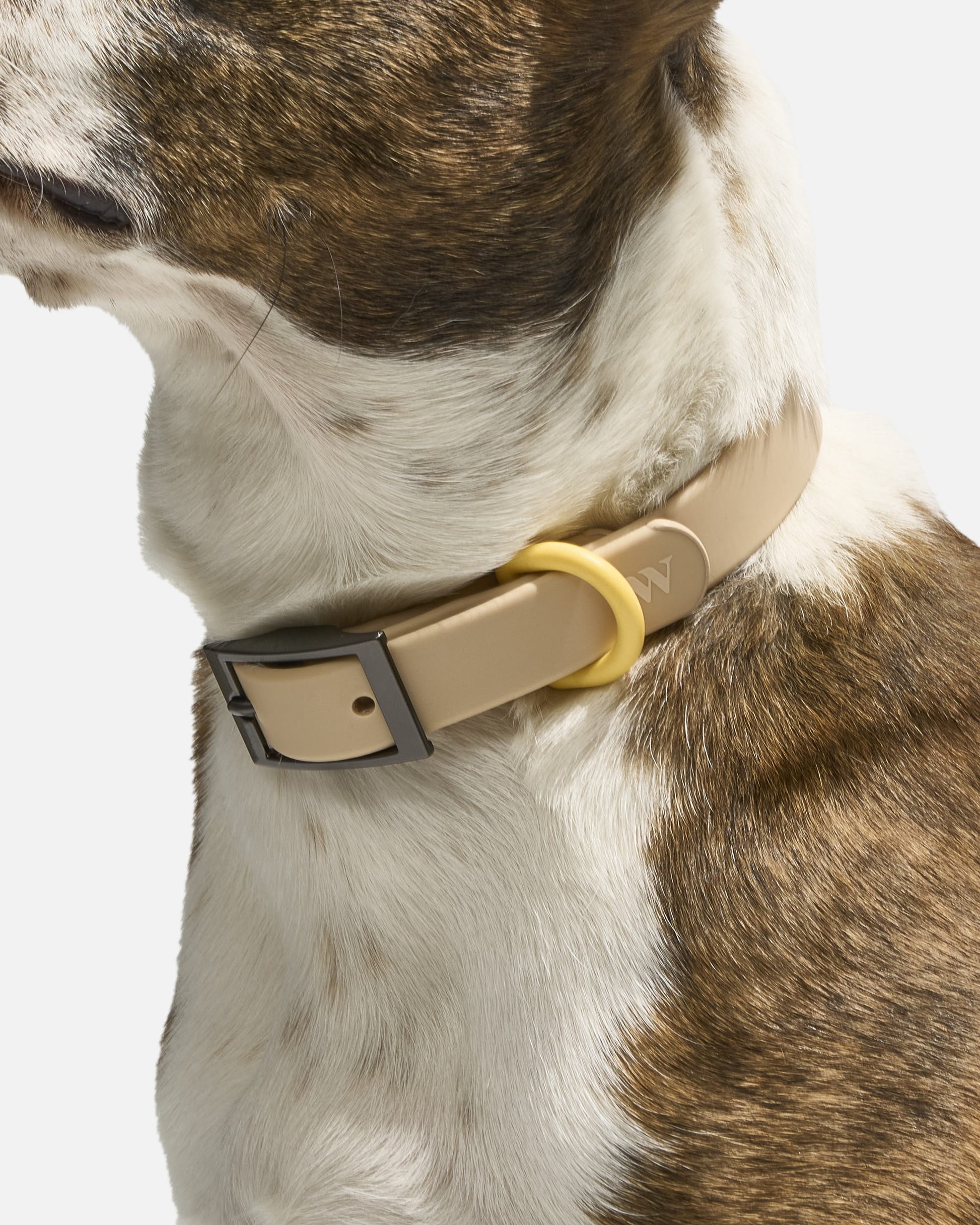 Sano Durable Dog Collar - All-Weather & Odor-Resistant Collar