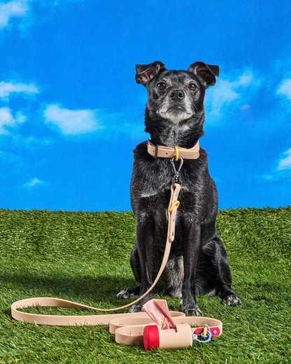 Sano Durable Dog Collar - All-Weather & Odor-Resistant Collar