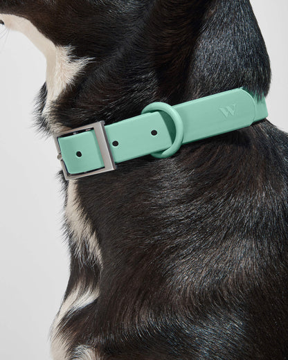Sano Durable Dog Collar — all-weather waterproof construction