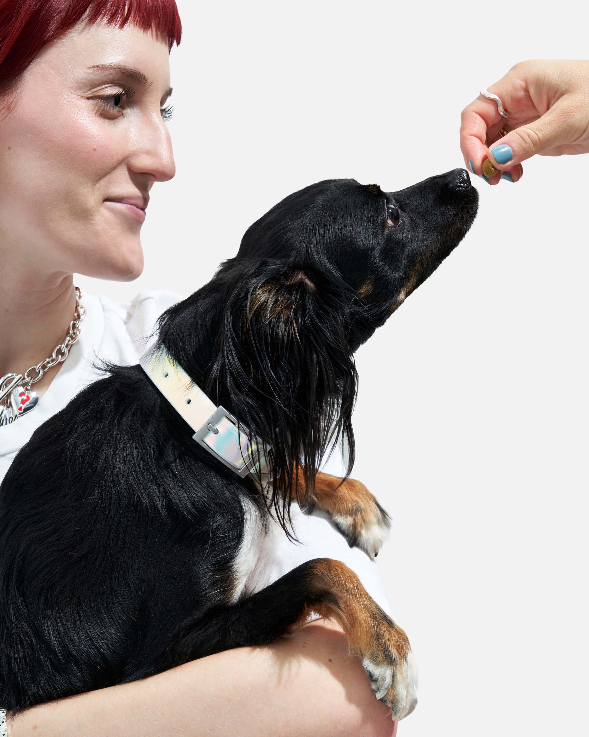Sano Durable Dog Collar — super strong build