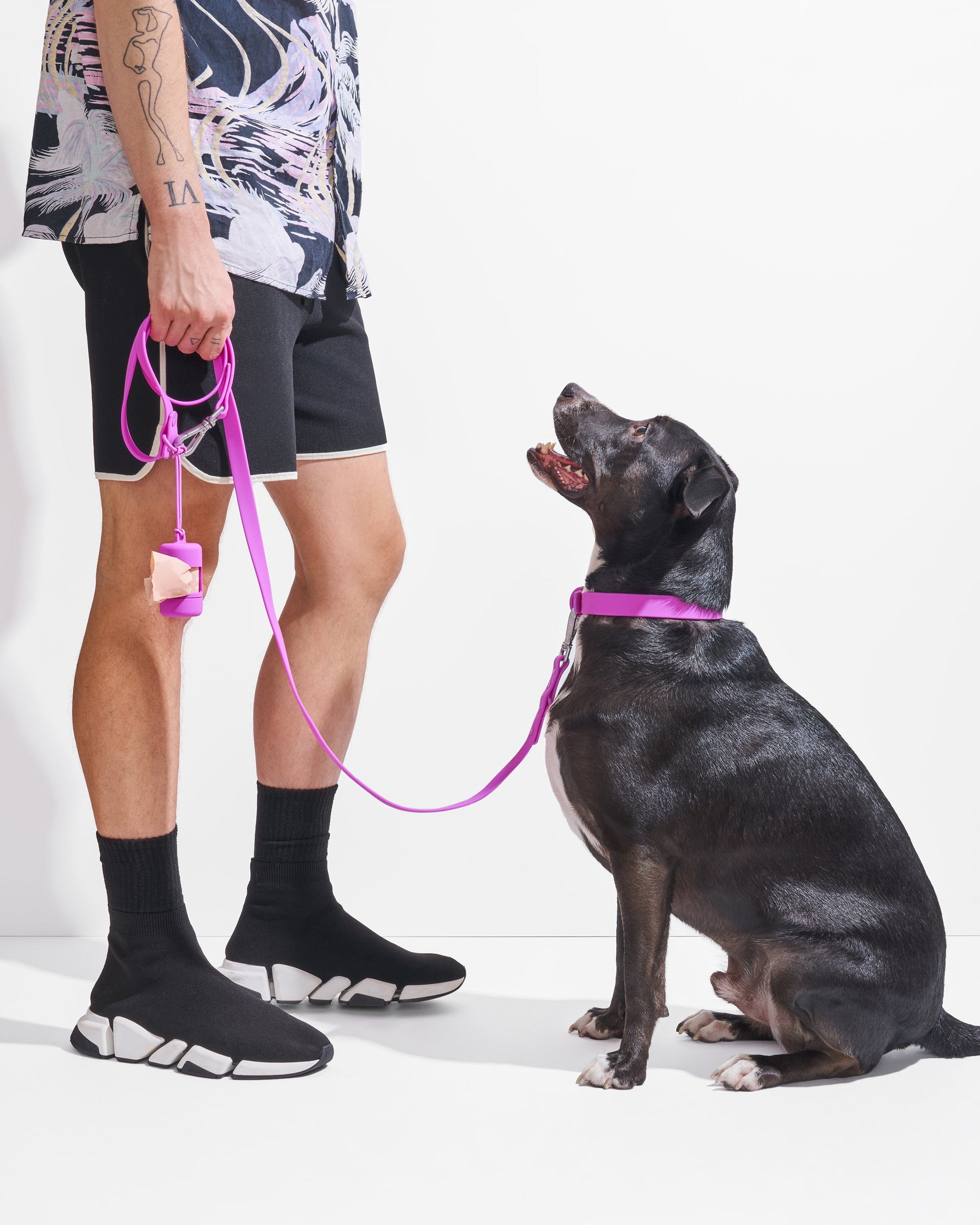 Sano Durable Dog Collar — dirt and odour-resistant materials