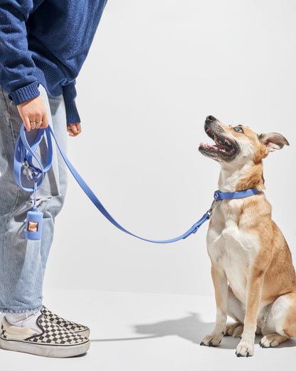 Sano Durable Dog Collar — pairs with the matching Walk Collection leash and poop bag carrier
