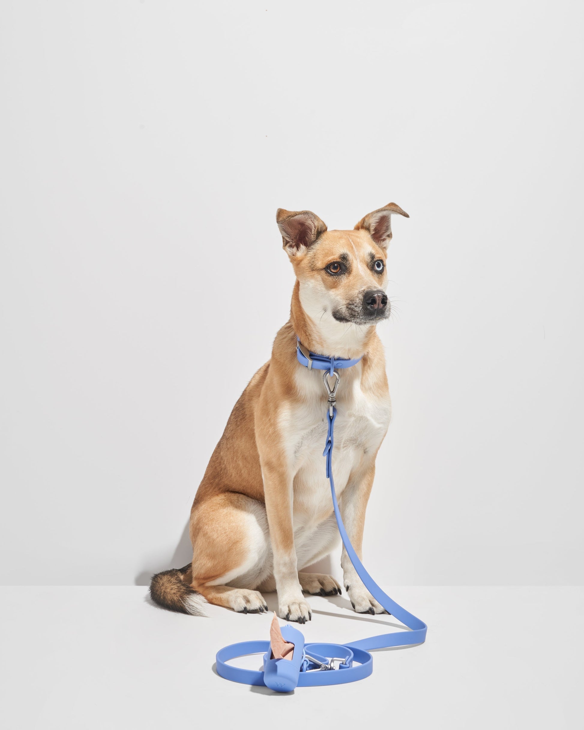 Sano Durable Dog Collar — all-weather waterproof construction