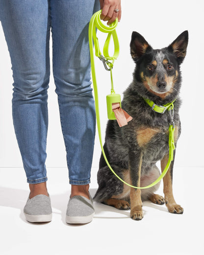 Sano Durable Dog Collar — dirt and odour-resistant materials