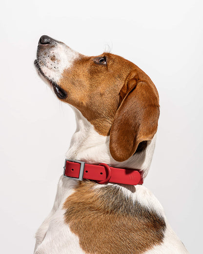 Sano Durable Dog Collar — pairs with the matching Walk Collection leash and poop bag carrier