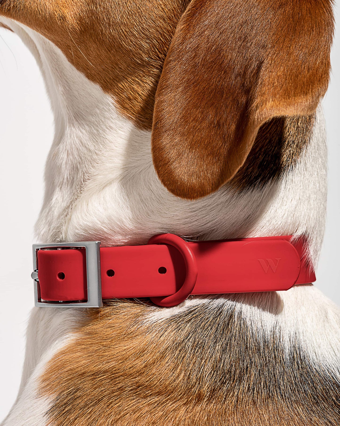 Sano Durable Dog Collar — dirt and odour-resistant materials