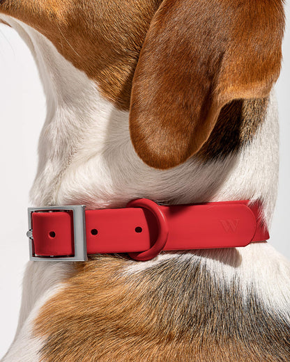 Sano Durable Dog Collar — dirt and odour-resistant materials