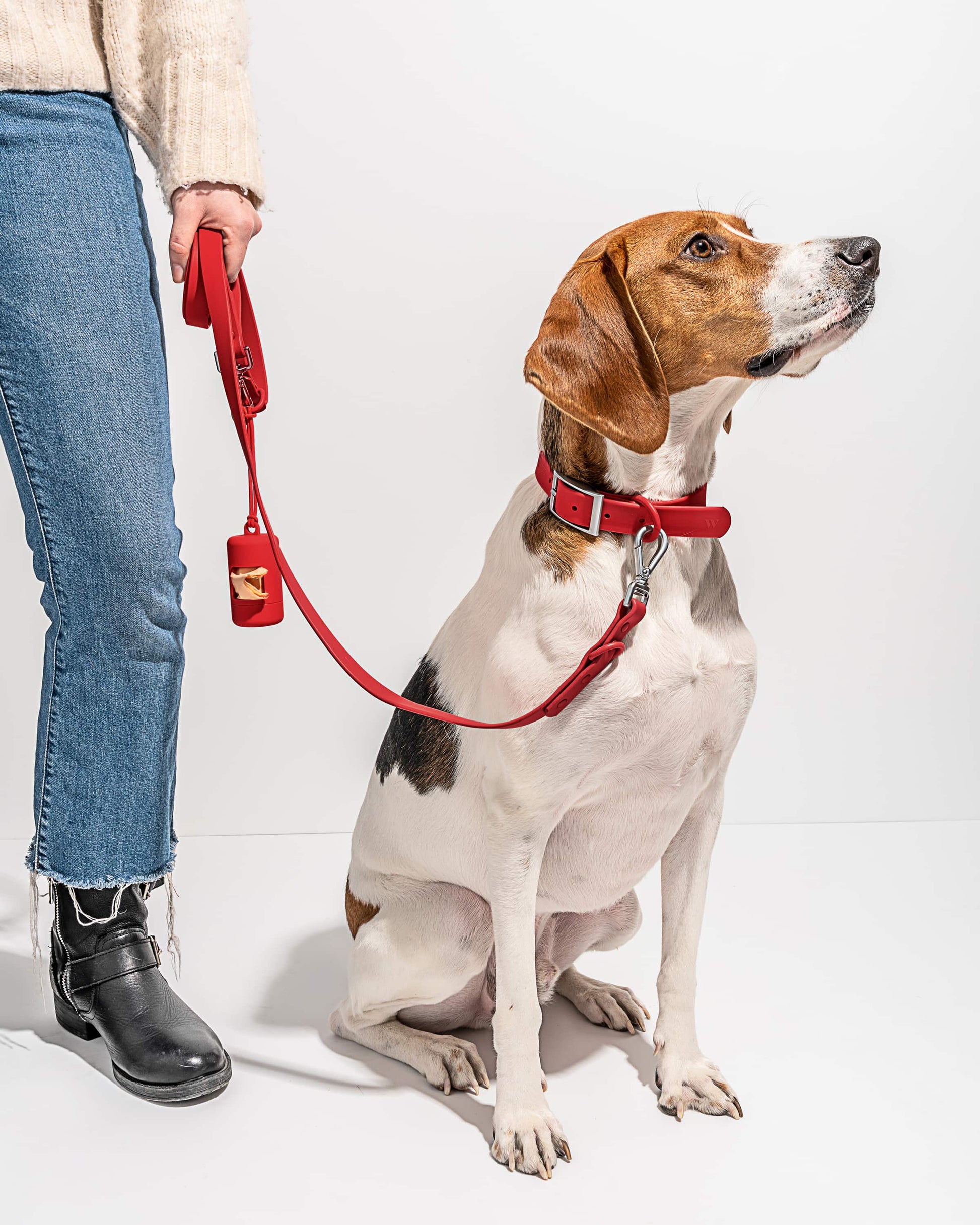 Sano Durable Dog Collar — super strong build