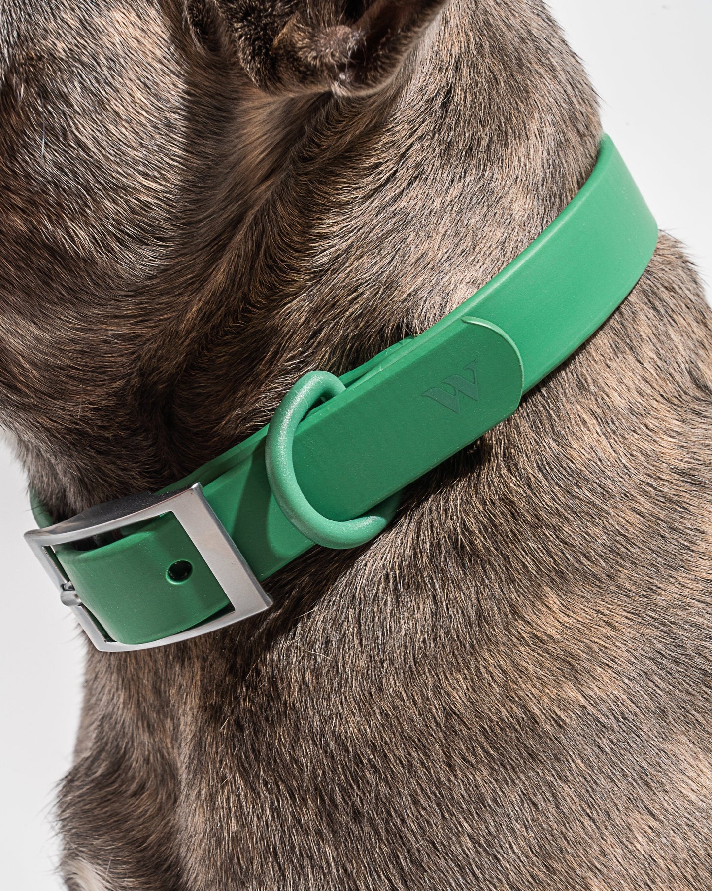 Sano Durable Dog Collar — all-weather waterproof construction