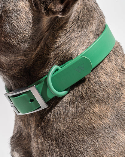 Sano Durable Dog Collar — all-weather waterproof construction