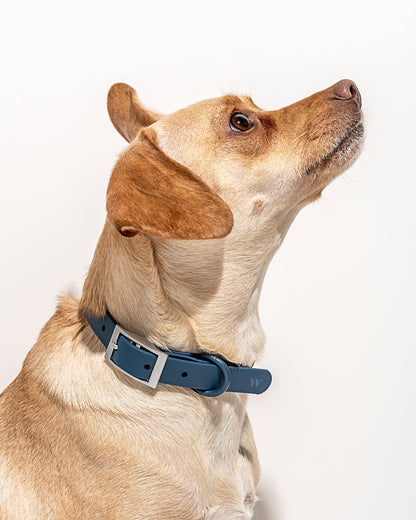 Sano Durable Dog Collar — pairs with the matching Walk Collection leash and poop bag carrier