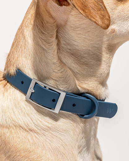 Sano Durable Dog Collar — all-weather waterproof construction