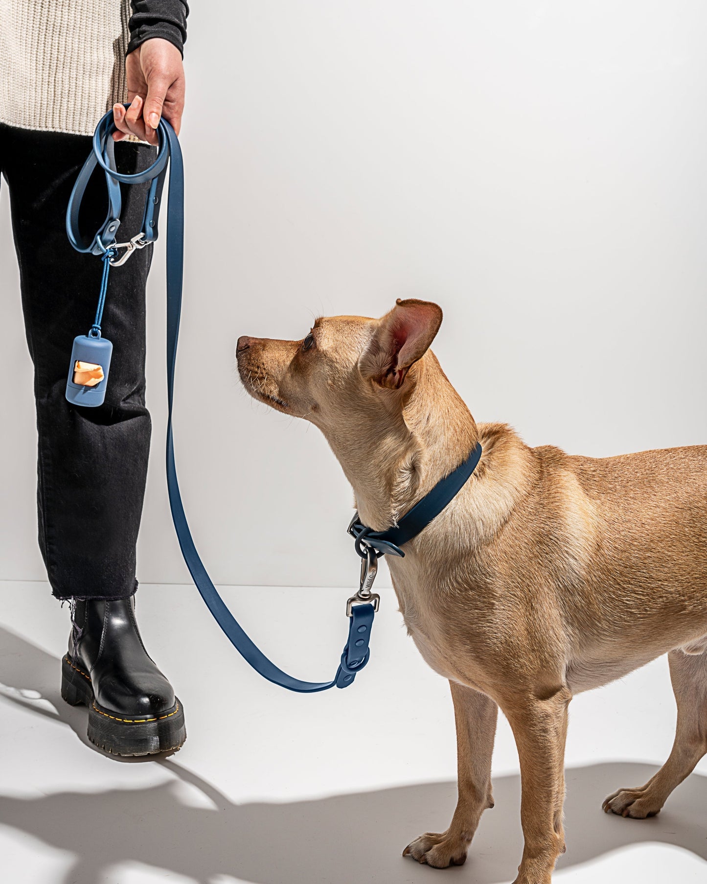 Sano Durable Dog Collar — super strong build
