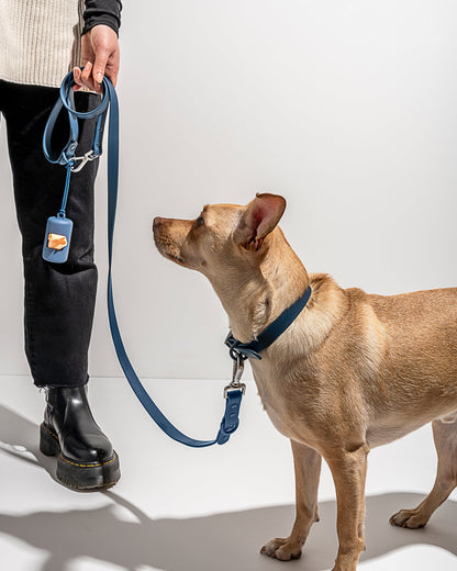 Sano Durable Dog Collar — super strong build
