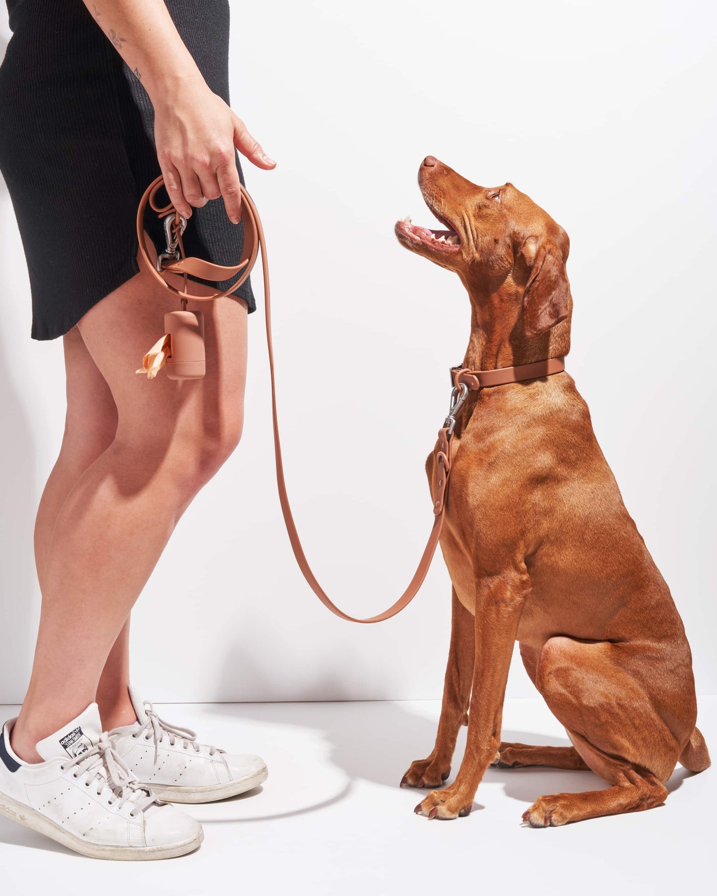 Sano Durable Dog Collar — pairs with the matching Walk Collection leash and poop bag carrier