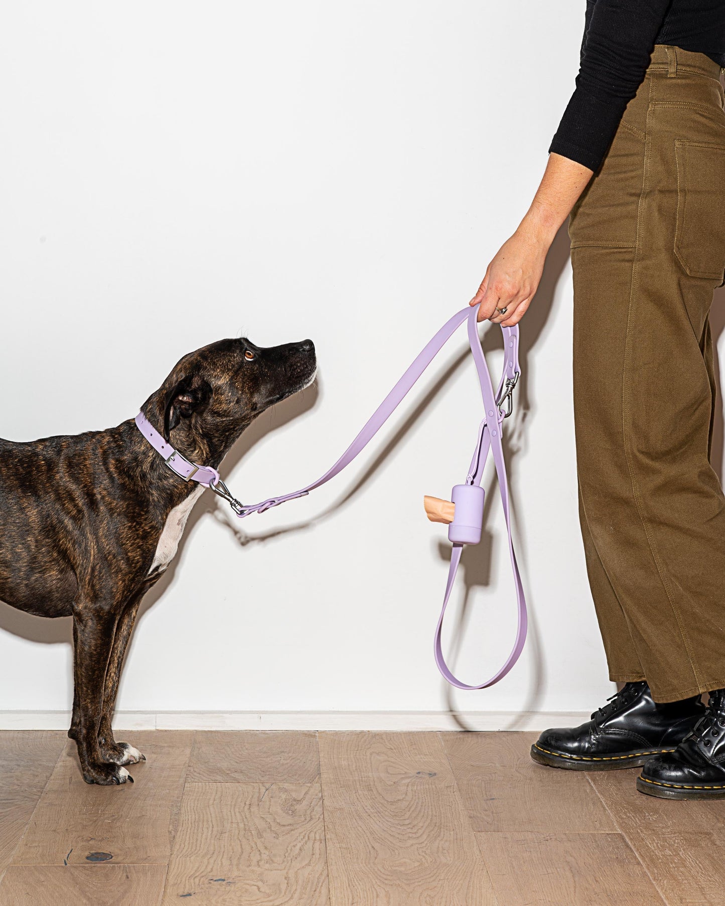 Sano Durable Dog Collar — super strong build