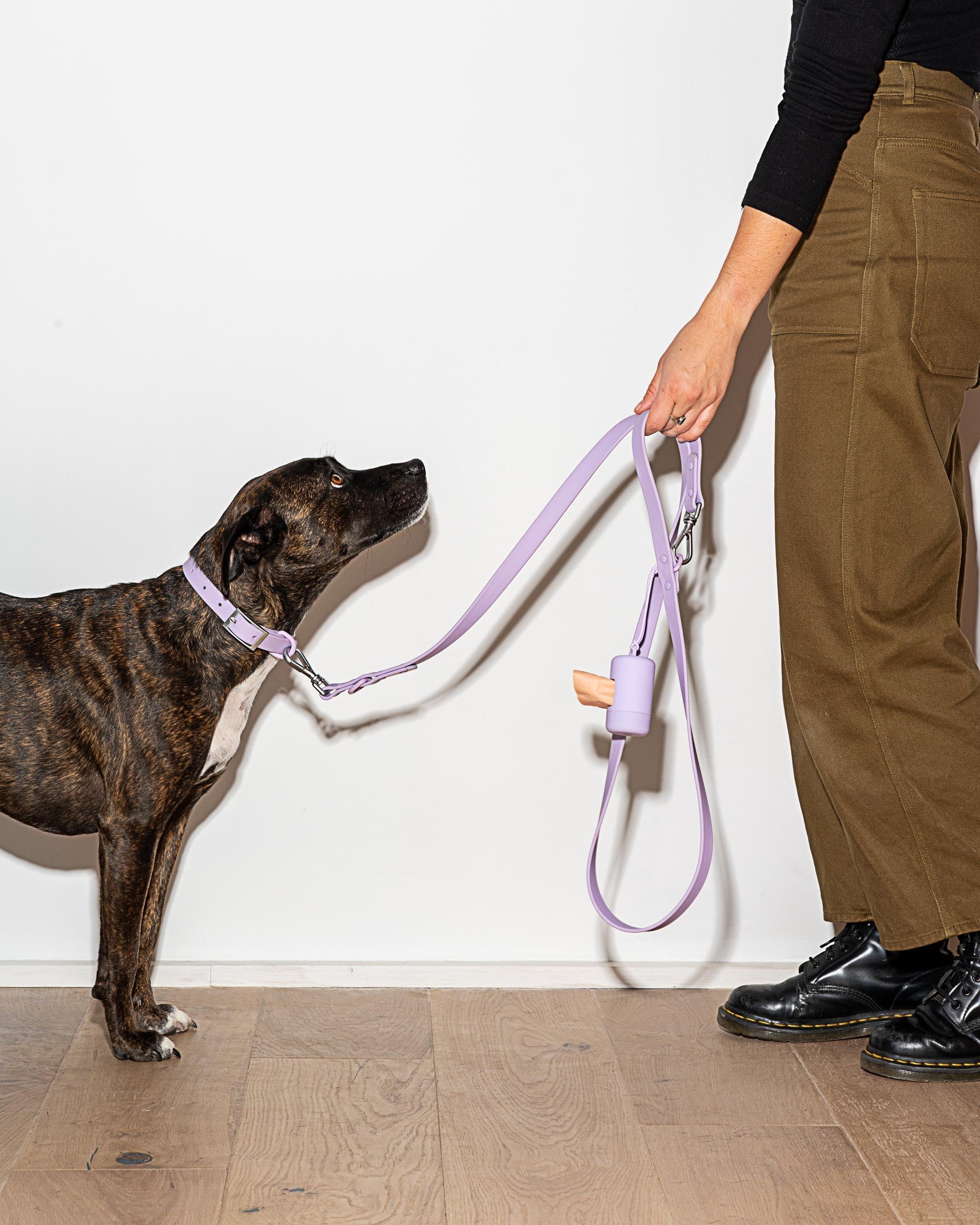 Sano Durable Dog Collar — super strong build