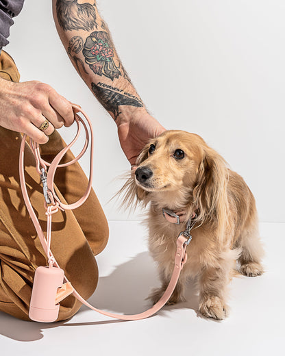 Sano Durable Dog Collar — super strong build