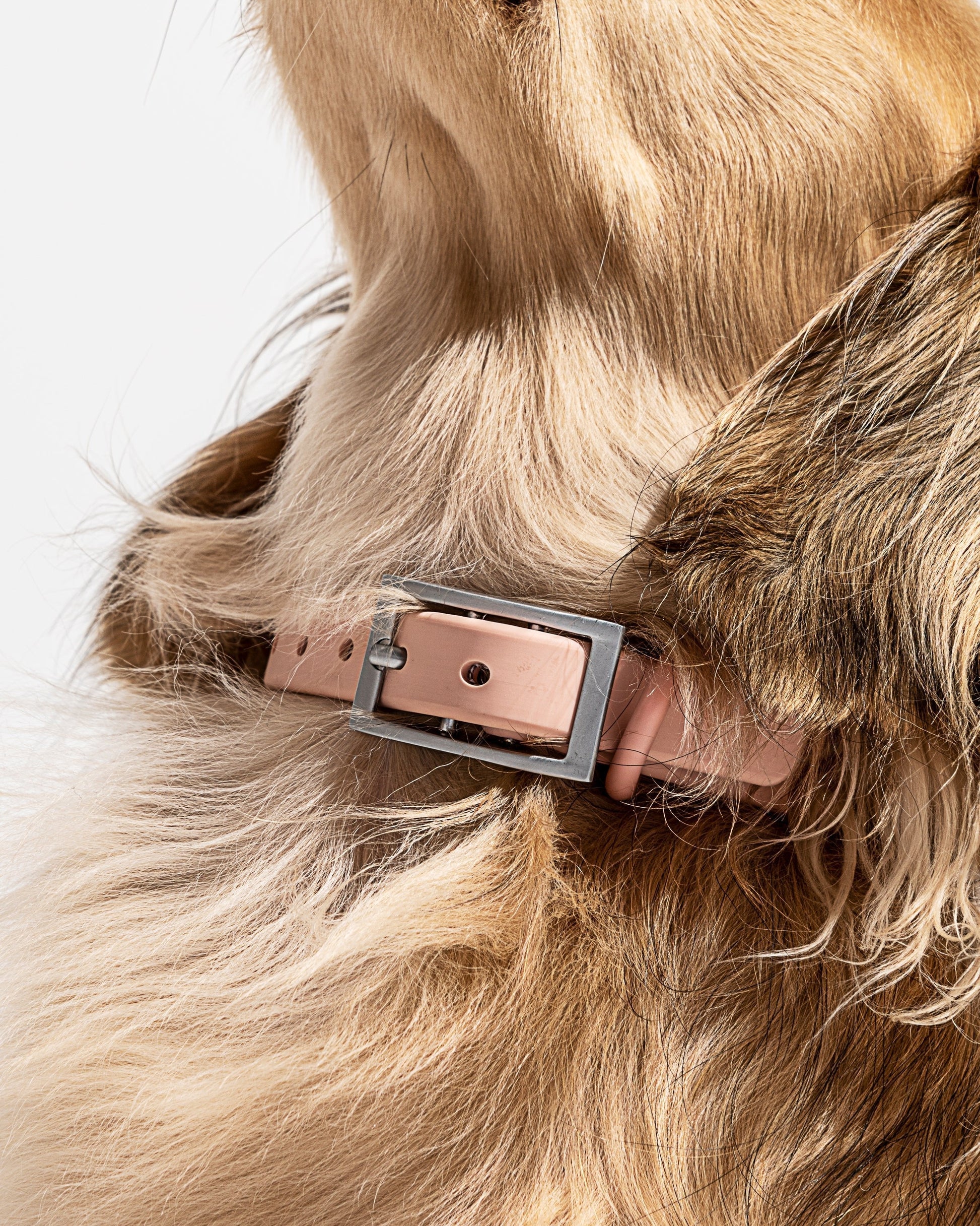 Sano Durable Dog Collar — pairs with the matching Walk Collection leash and poop bag carrier