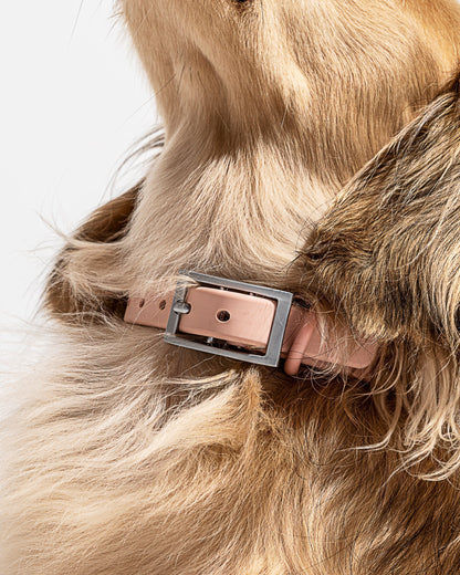 Sano Durable Dog Collar — pairs with the matching Walk Collection leash and poop bag carrier
