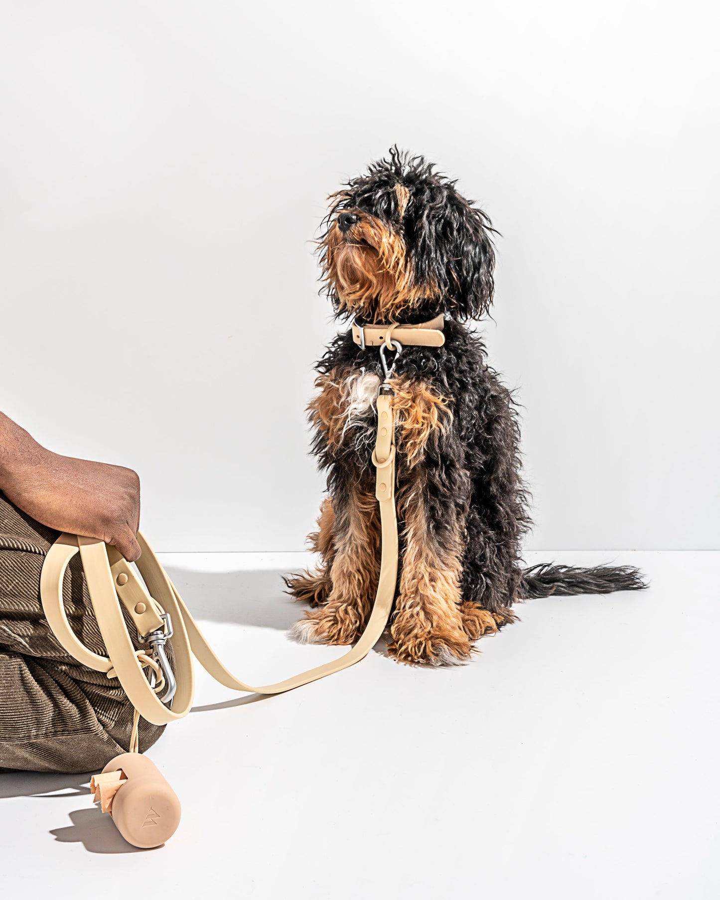 Sano Durable Dog Collar — pairs with the matching Walk Collection leash and poop bag carrier