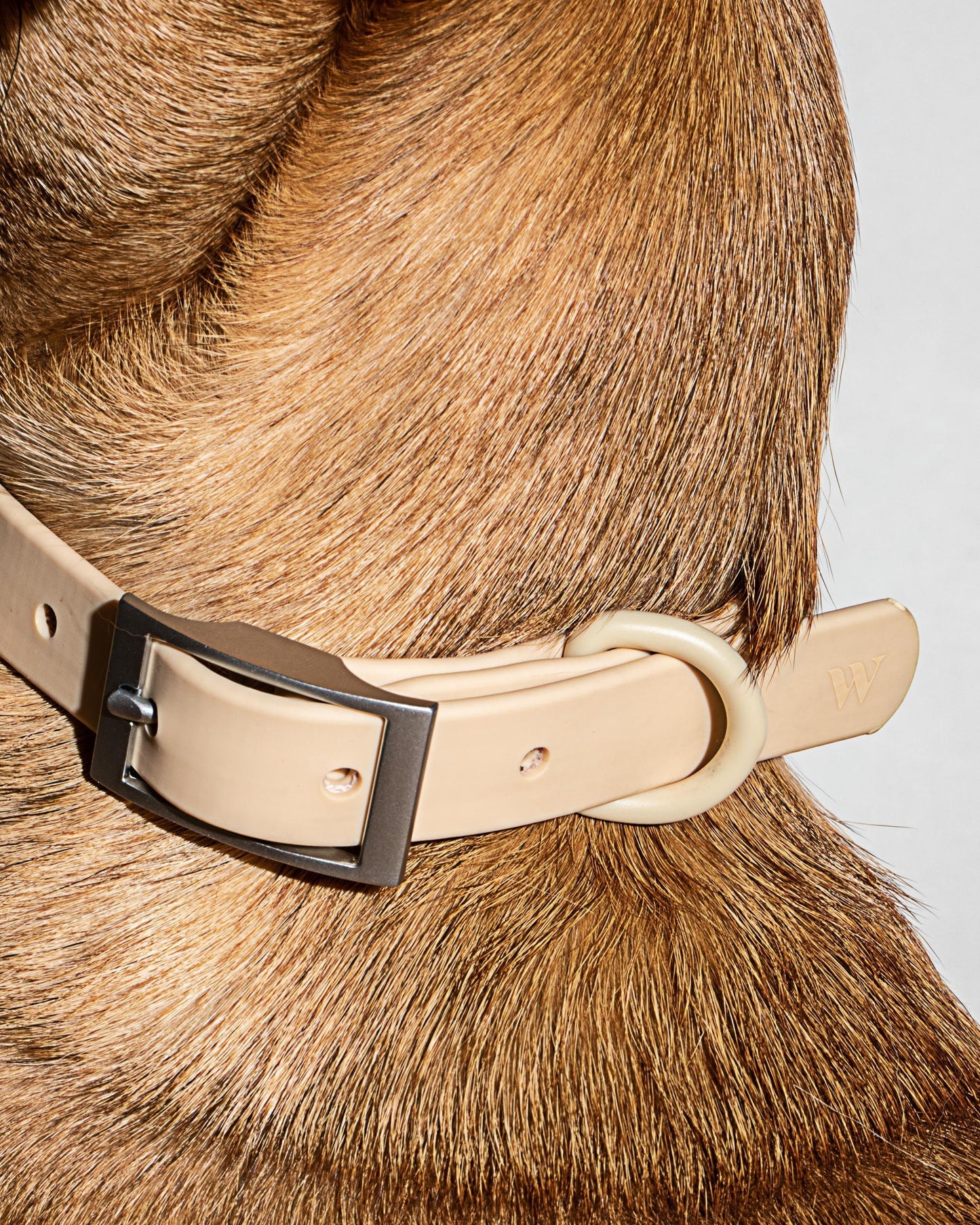 Sano Durable Dog Collar - All-Weather & Odor-Resistant Collar