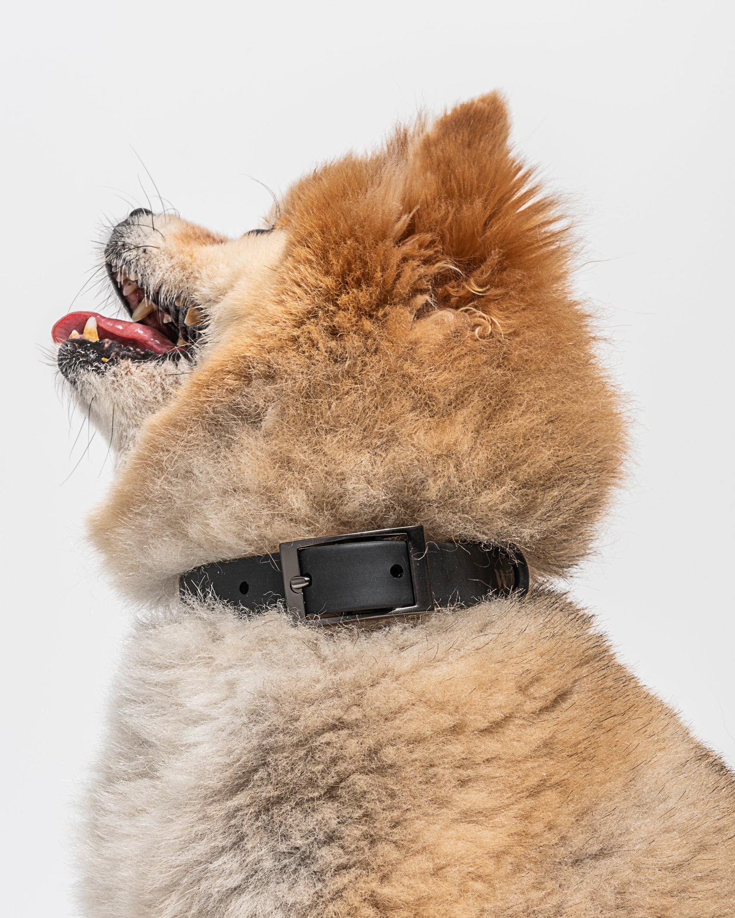 Sano Durable Dog Collar - All-Weather & Odor-Resistant Collar