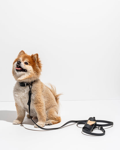Sano Durable Dog Collar - All-Weather & Odor-Resistant Collar