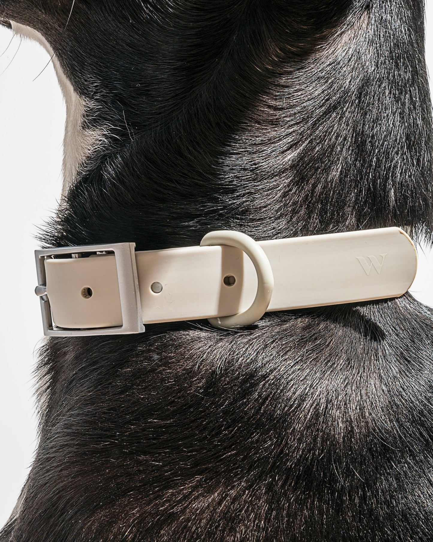 Sano Durable Dog Collar - All-Weather & Odor-Resistant Collar