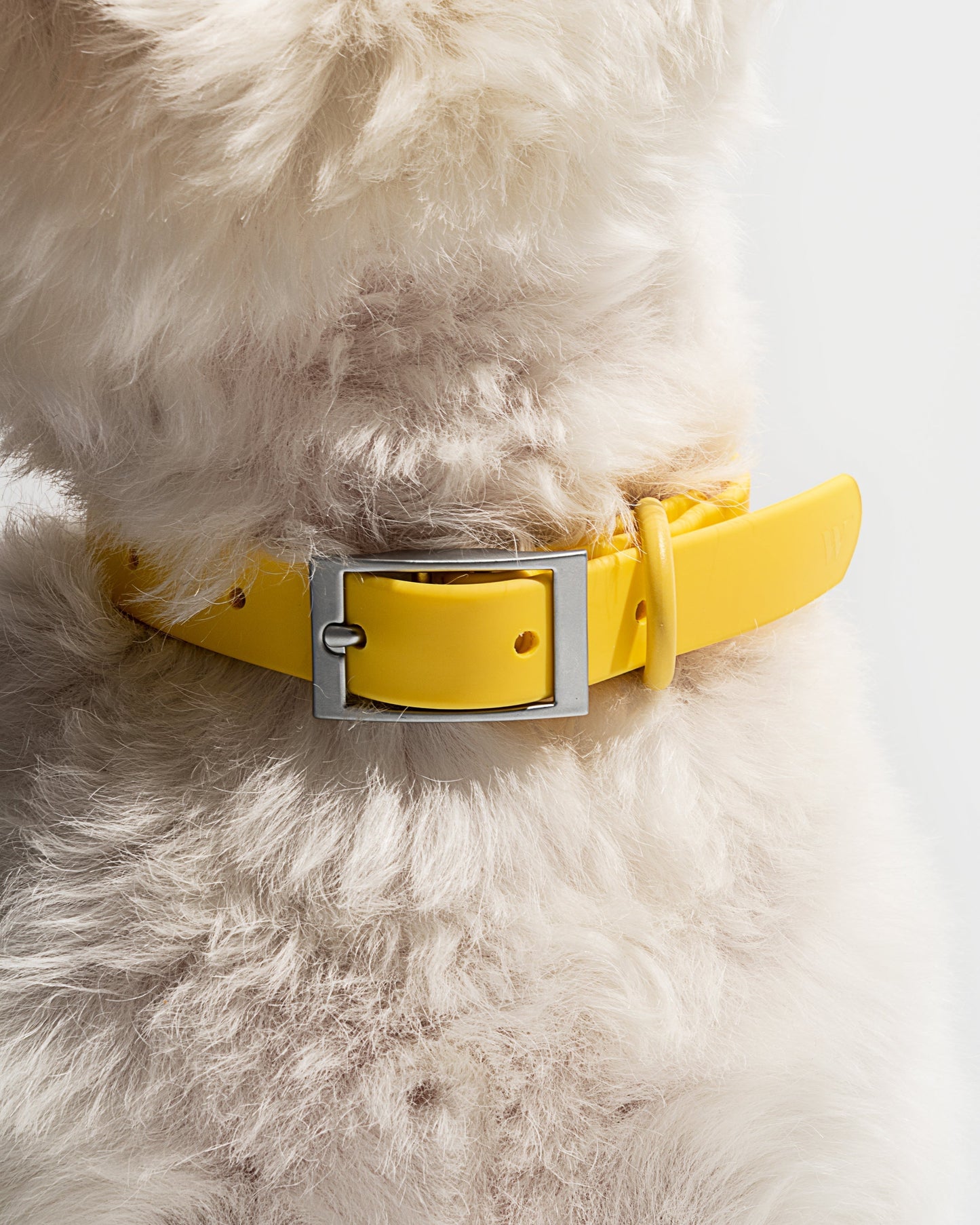 Sano Durable Dog Collar - All-Weather & Odor-Resistant Collar